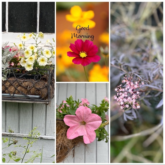 CLOSET CLOSING•SALE•make me any offer - Picture 4 of 16